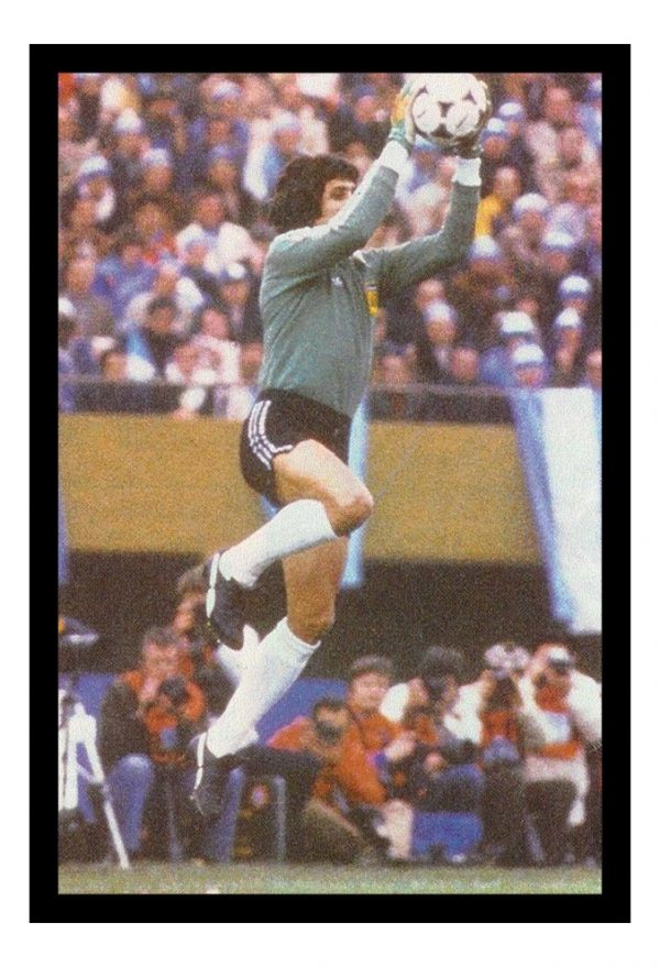 Cuadro Decorativo Futbol - Pato Fillol 07 - A3 30x40