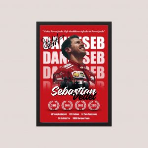 Cuadro Decorativo Sebastian Vettel 14 - Tamaño A3 30x40 Cm