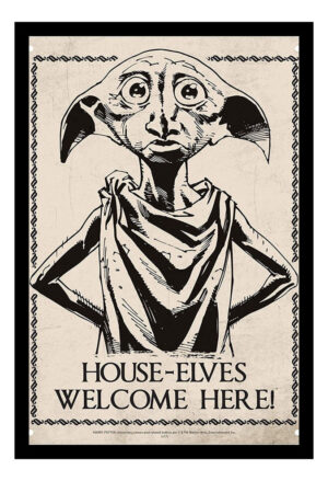 Cuadro Decorativo Cine - Harry Potter 15 - A3 30x40 Cm