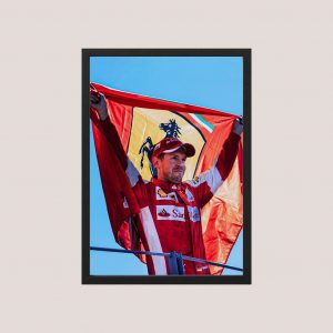 Cuadro Decorativo Sebastian Vettel 11 - Tamaño A3 30x40 Cm
