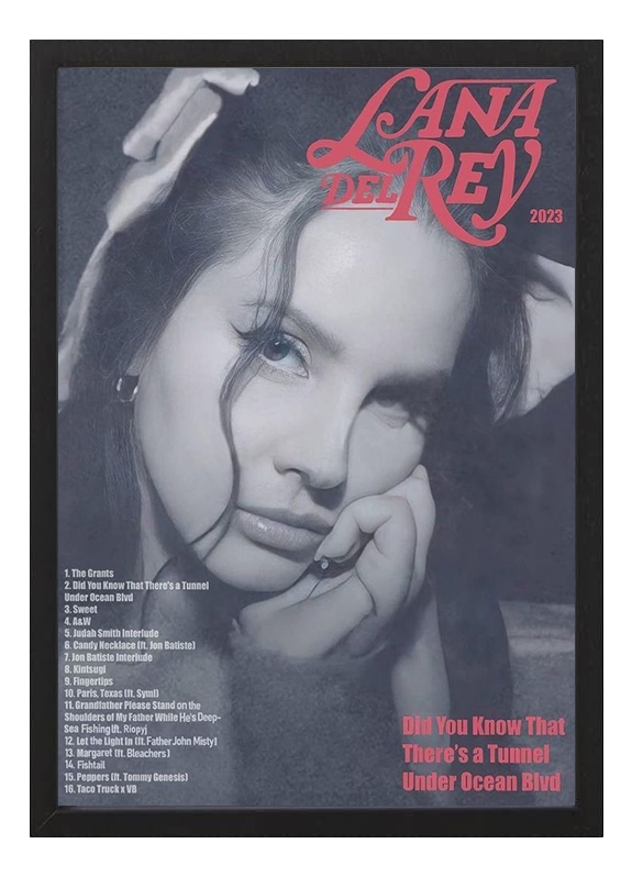 Cuadro Lana Del Rey Did You Know Tamaño A3 30x40 Cm