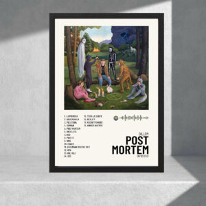 Cuadro Decorativo Música - Dillom, Post Mortem - A3 30x40
