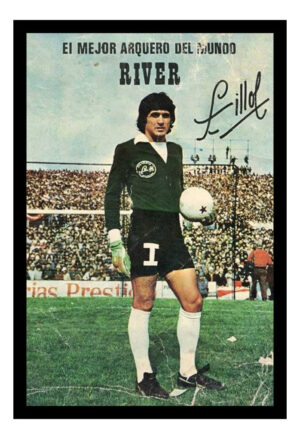 Cuadro Decorativo Futbol - Pato Fillol 08 - A3 30x40