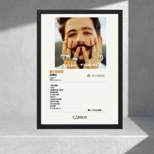 Cuadro Decorativo Musica - Camilo 08 - A3 30x40