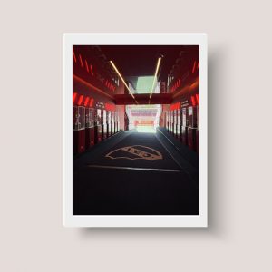 Cuadro Independiente Avellaneda - Garganta Del Diablo A4