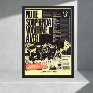 Cuadro Decorativo Los Piojos, Show River - Tamaño A3 30x40