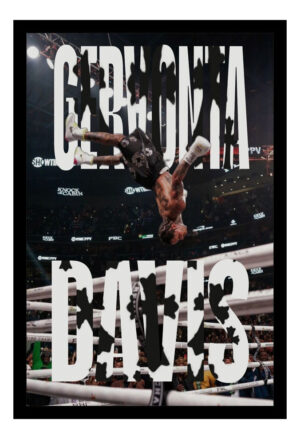 Cuadro Decorativo Boxeo - Gervonta Davis 08 - A3 30x40