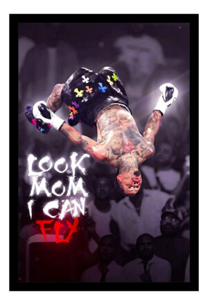 Cuadro Decorativo Boxeo - Gervonta Davis 11 - A3 30x40