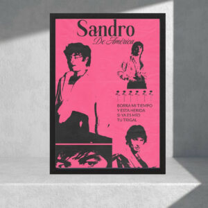 Cuadro Decorativo Música - Sandro 05 - Tamaño A3 30x40