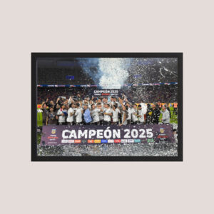 Cuadro Decorativo Platense Campeón 2025 11 - A3 30x40