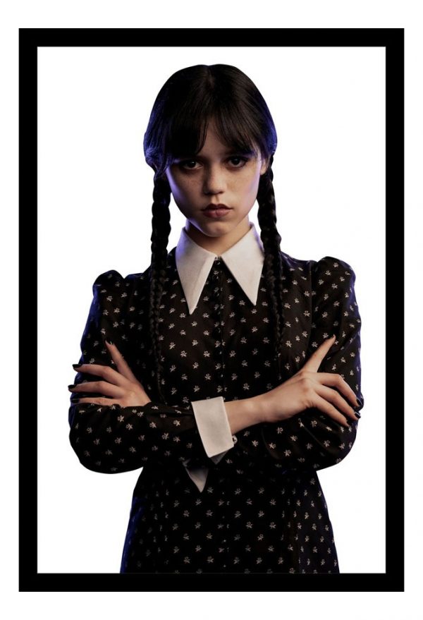 Cuadro Decorativo Series - Merlina 12 - A3 30x40 Cm