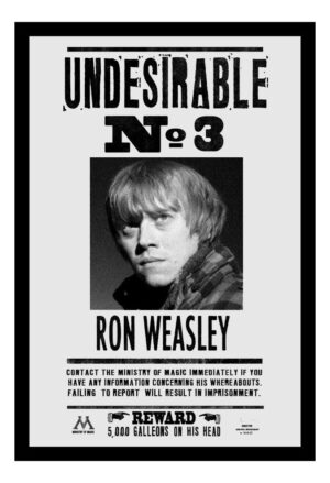 Cuadro Decorativo Cine - Harry Potter 16 - A3 30x40 Cm