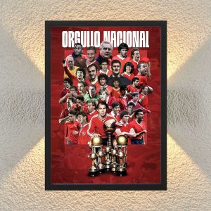 Cuadro Decorativo Independiente Avellaneda 14 - A3 30x40 Cm