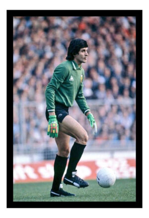 Cuadro Decorativo Futbol - Pato Fillol 02 - A3 30x40