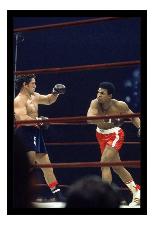 Cuadro Decorativo Boxeo - Ringo Bonavena 01 - A3 30x40