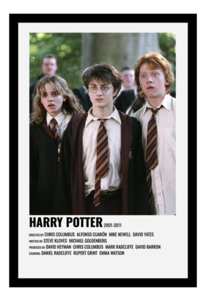 Cuadro Decorativo Cine - Harry Potter 01 - A3 30x40 Cm
