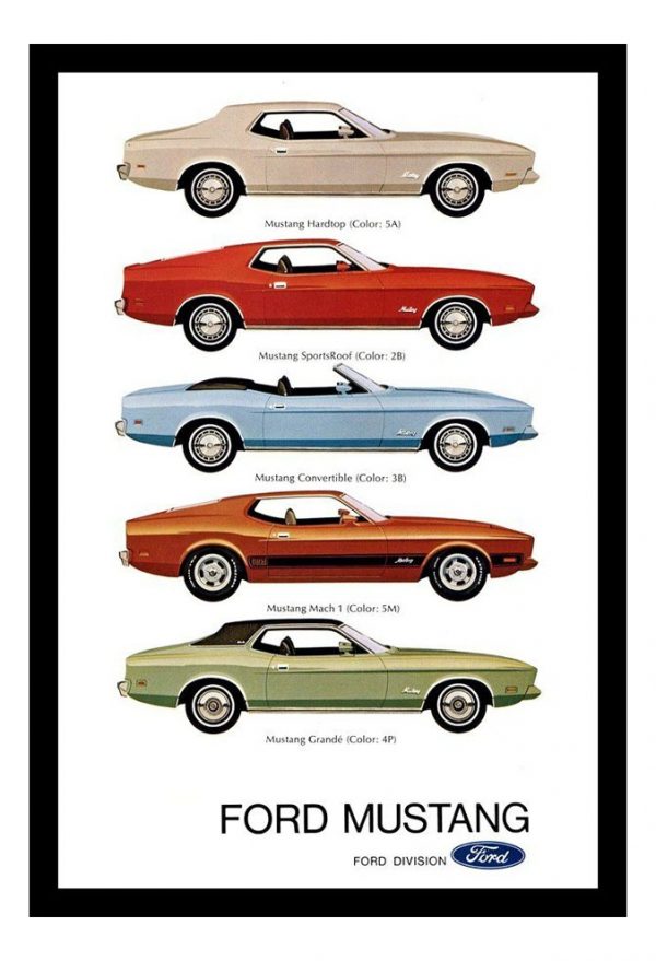 Cuadro Decorativo Automovilismo - Ford 03 - A3 30x40 Cm