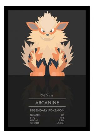 Cuadro Decorativo Anime - Pokemon 35 - A3 30x40 Cm