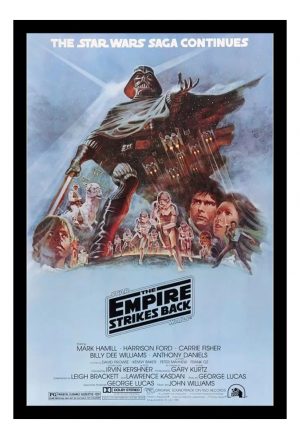 Cuadro Decorativo Cine - Star Wars 10 - A3 30x40 Cm