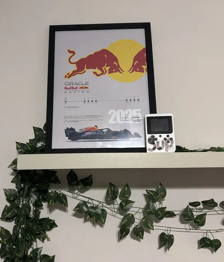 Cuadro Red Bull