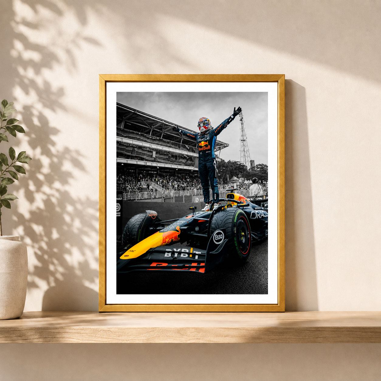 Max Verstappen - Serie Dorada
