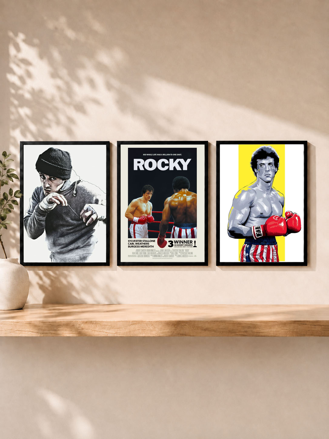 Set triptico cine - Rocky